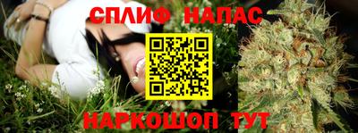 прущие грибы Бузулук