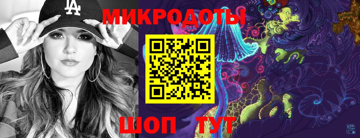 Псилоцибиновые грибы Psilocybine cubensis Североморск