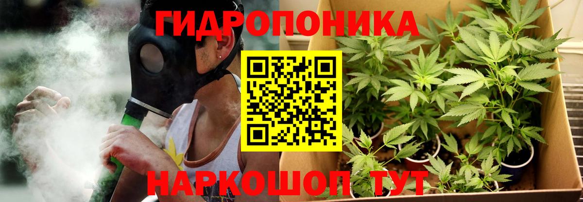 Конопля AK-47  Конопля сатива  Вход с VPN  Североморск 